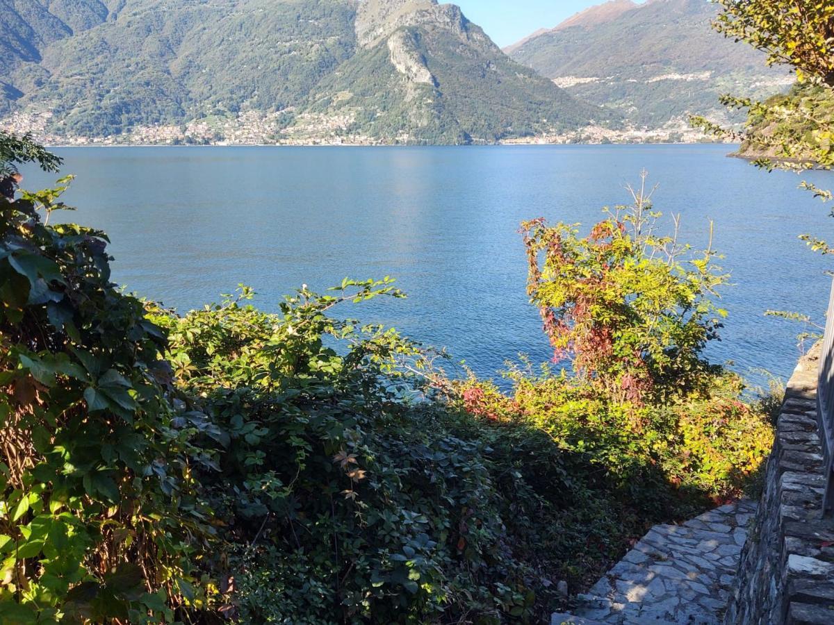 Appartamento Locazione Turistica Rivetta - DOX260 Olgiasca Esterno foto